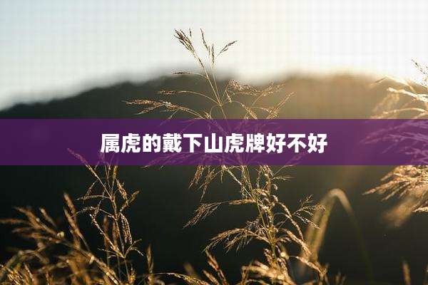 属虎的戴下山虎牌好不好