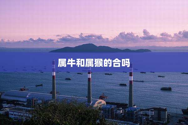 属牛和属猴的合吗