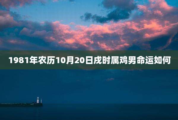 1981年农历10月20日戌时属鸡男命运如何