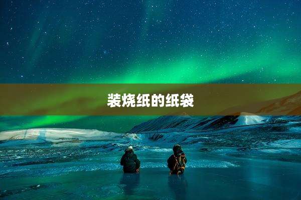 装烧纸的纸袋