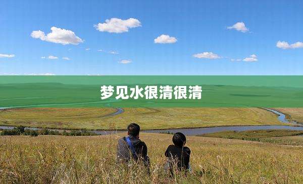 梦见水很清很清