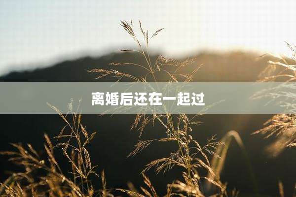 离婚后还在一起过