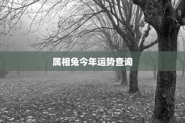 属相兔今年运势查询
