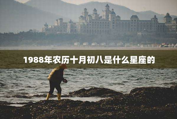 1988年农历十月初八是什么星座的