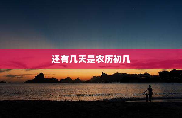 还有几天是农历初几