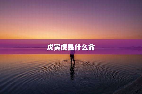 戊寅虎是什么命