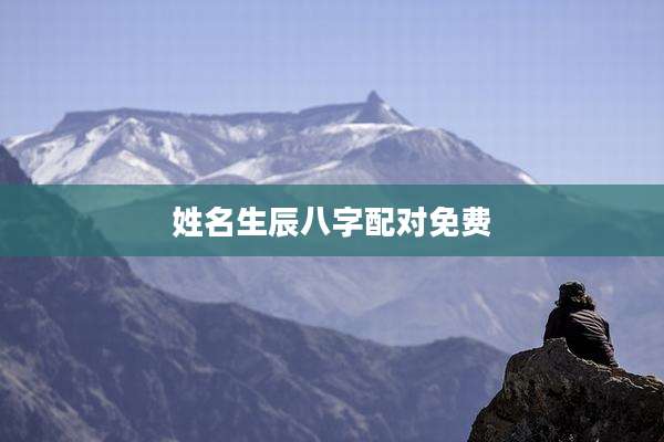 姓名生辰八字配对免费
