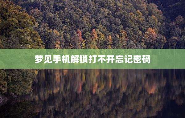 梦见手机解锁打不开忘记密码