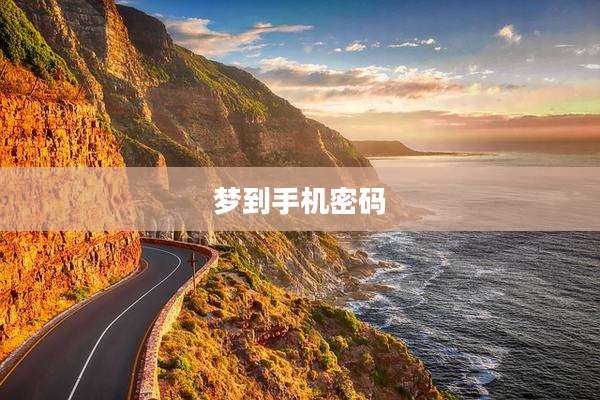 梦到手机密码