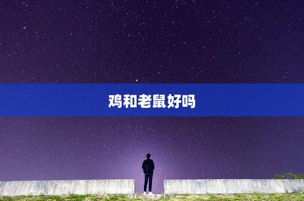 鸡和老鼠好吗