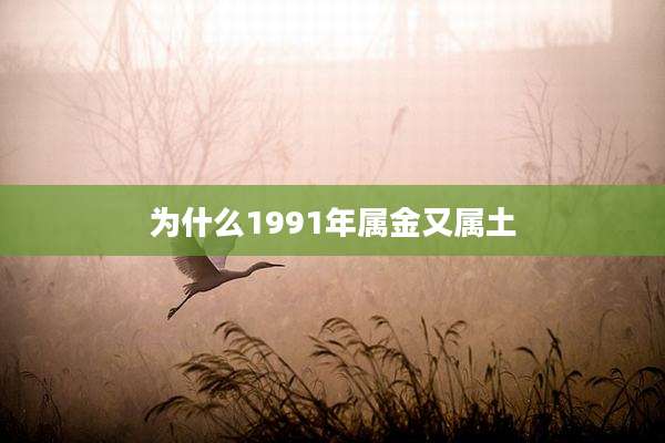 为什么1991年属金又属土