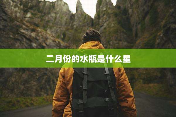 二月份的水瓶是什么星