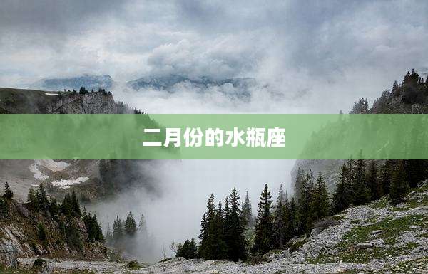 二月份的水瓶座