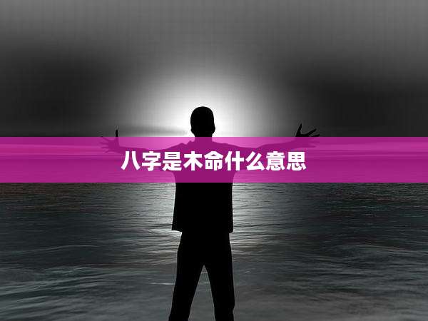八字是木命什么意思