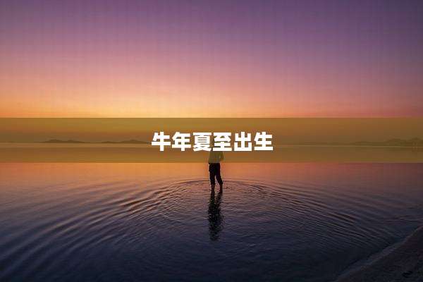 牛年夏至出生
