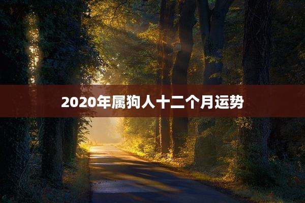 2020年属狗人十二个月运势