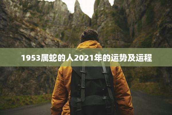 1953属蛇的人2021年的运势及运程