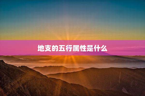 地支的五行属性是什么