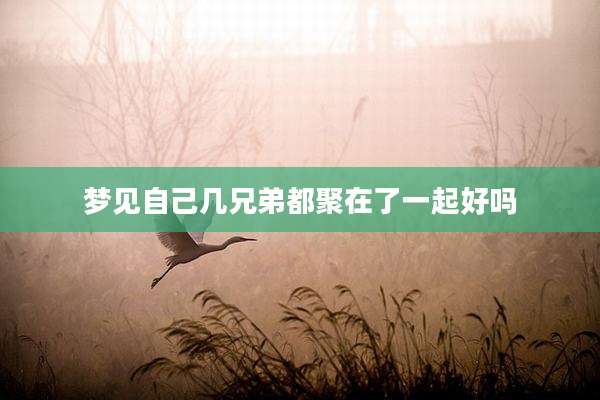 梦见自己几兄弟都聚在了一起好吗