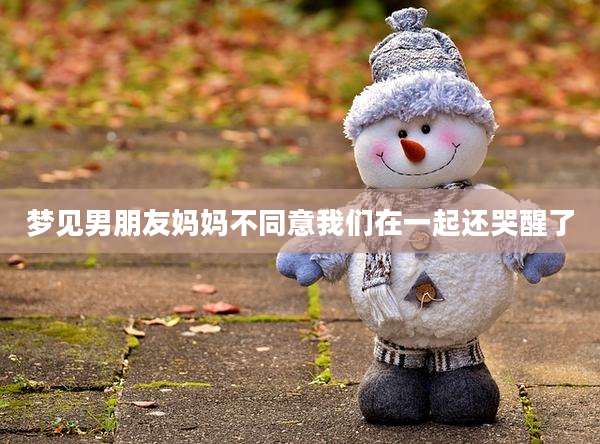 梦见男朋友妈妈不同意我们在一起还哭醒了