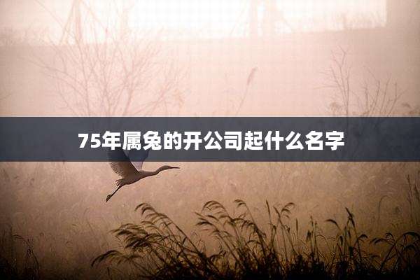 75年属兔的开公司起什么名字