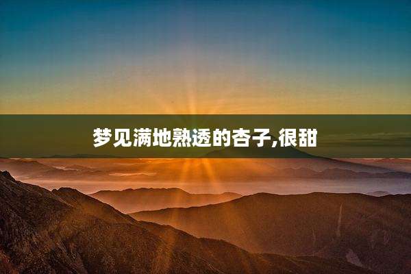 梦见满地熟透的杏子,很甜