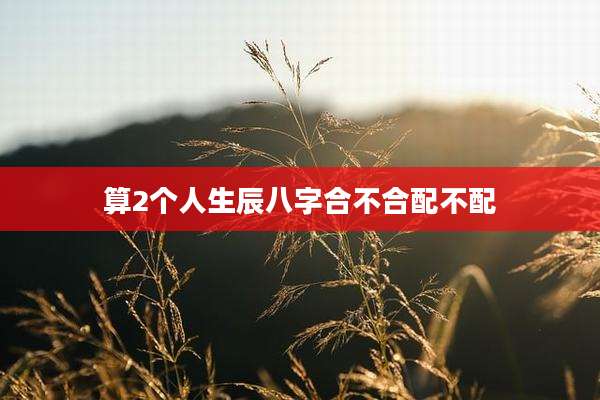 算2个人生辰八字合不合配不配