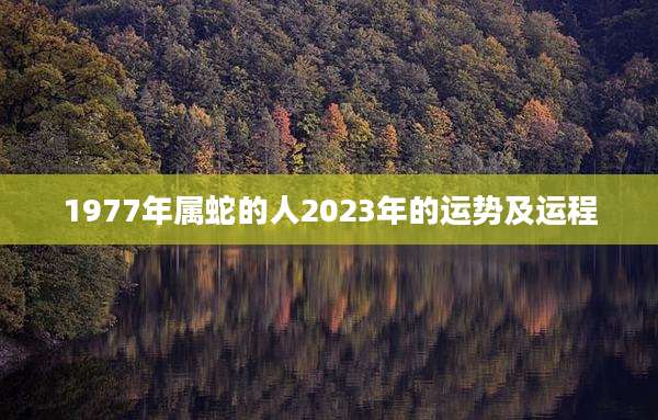1977年属蛇的人2023年的运势及运程