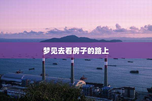 梦见去看房子的路上