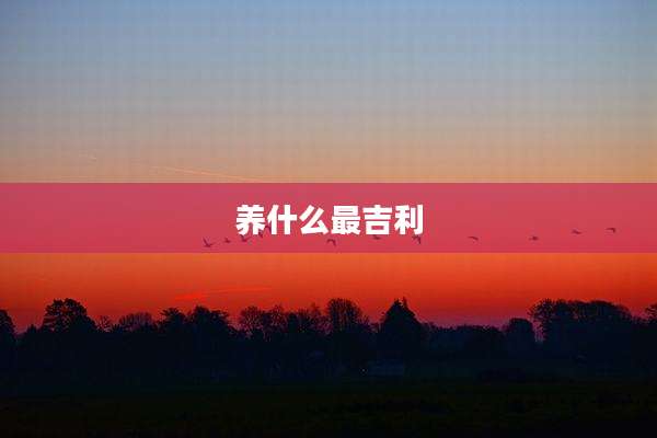 养什么最吉利