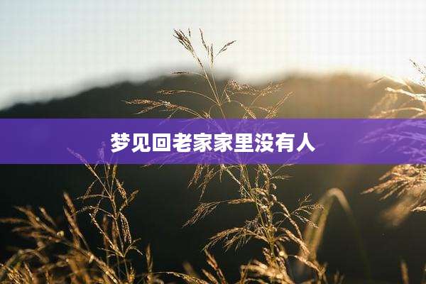 梦见回老家家里没有人
