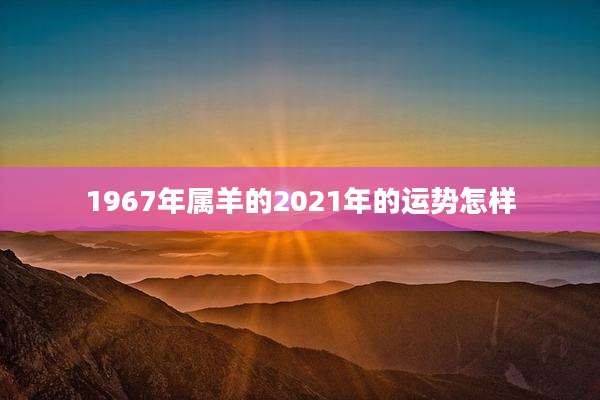 1967年属羊的2021年的运势怎样