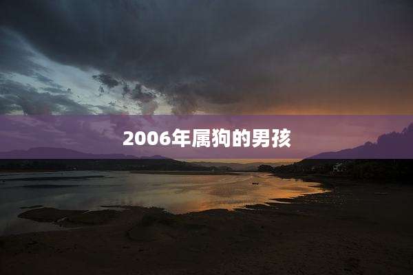 2006年属狗的男孩
