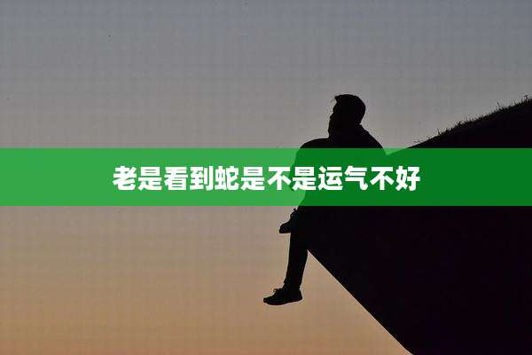 老是看到蛇是不是运气不好