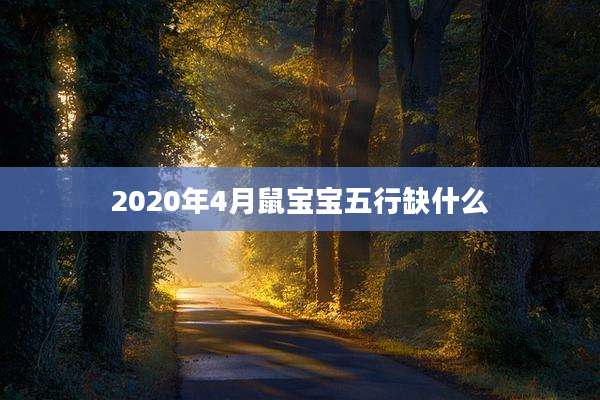 2020年4月鼠宝宝五行缺什么
