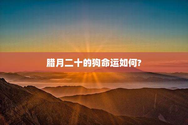 腊月二十的狗命运如何?