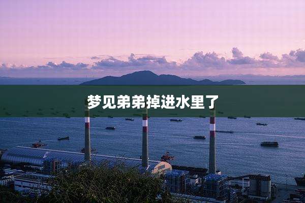 梦见弟弟掉进水里了