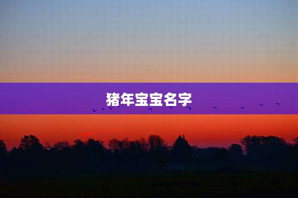 猪年宝宝名字
