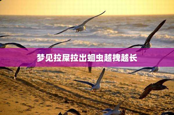 梦见拉屎拉出蛔虫越拽越长