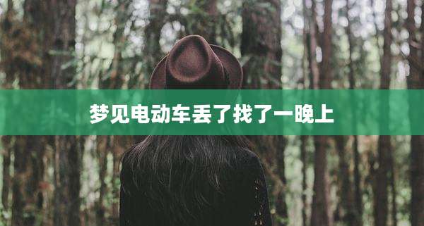 梦见电动车丢了找了一晚上
