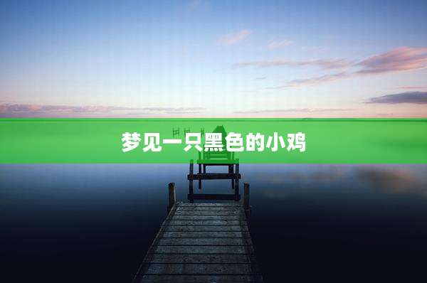梦见一只黑色的小鸡