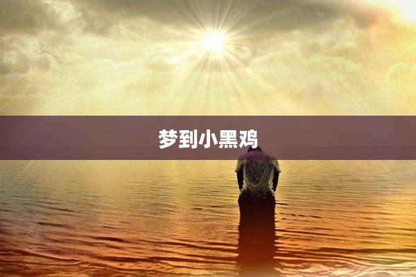 梦到小黑鸡