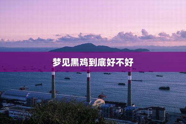 梦见黑鸡到底好不好