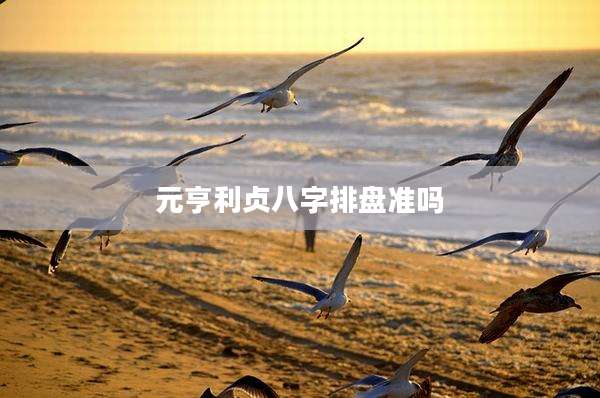 元亨利贞八字排盘准吗