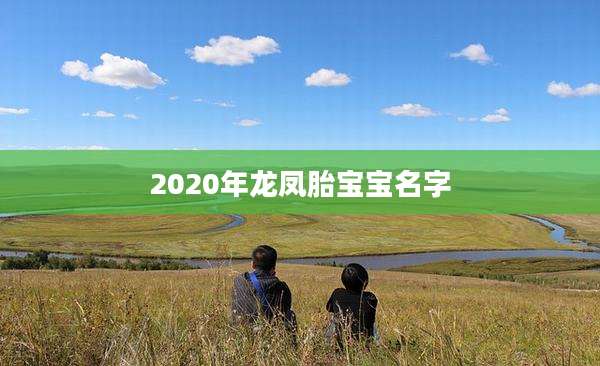 2020年龙凤胎宝宝名字
