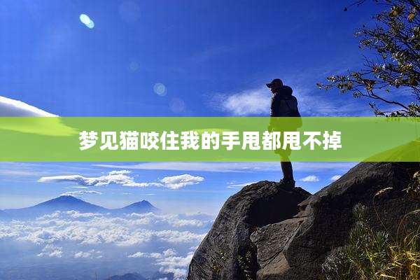梦见猫咬住我的手甩都甩不掉