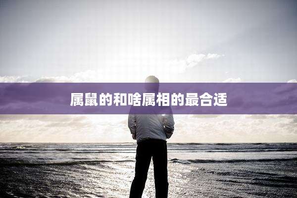 属鼠的和啥属相的最合适