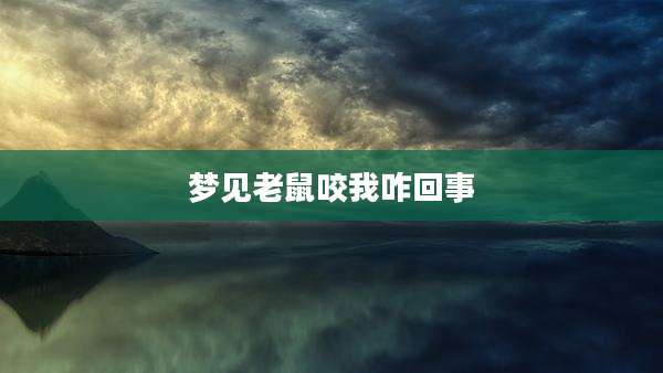 梦见老鼠咬我咋回事