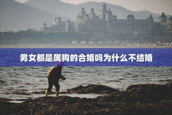 男女都是属狗的合婚吗为什么不结婚