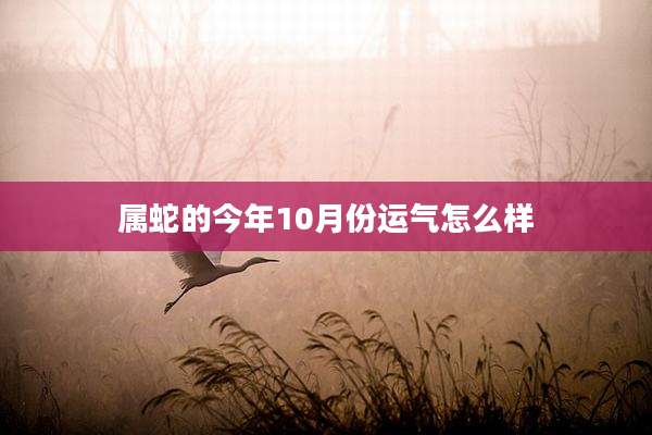 属蛇的今年10月份运气怎么样